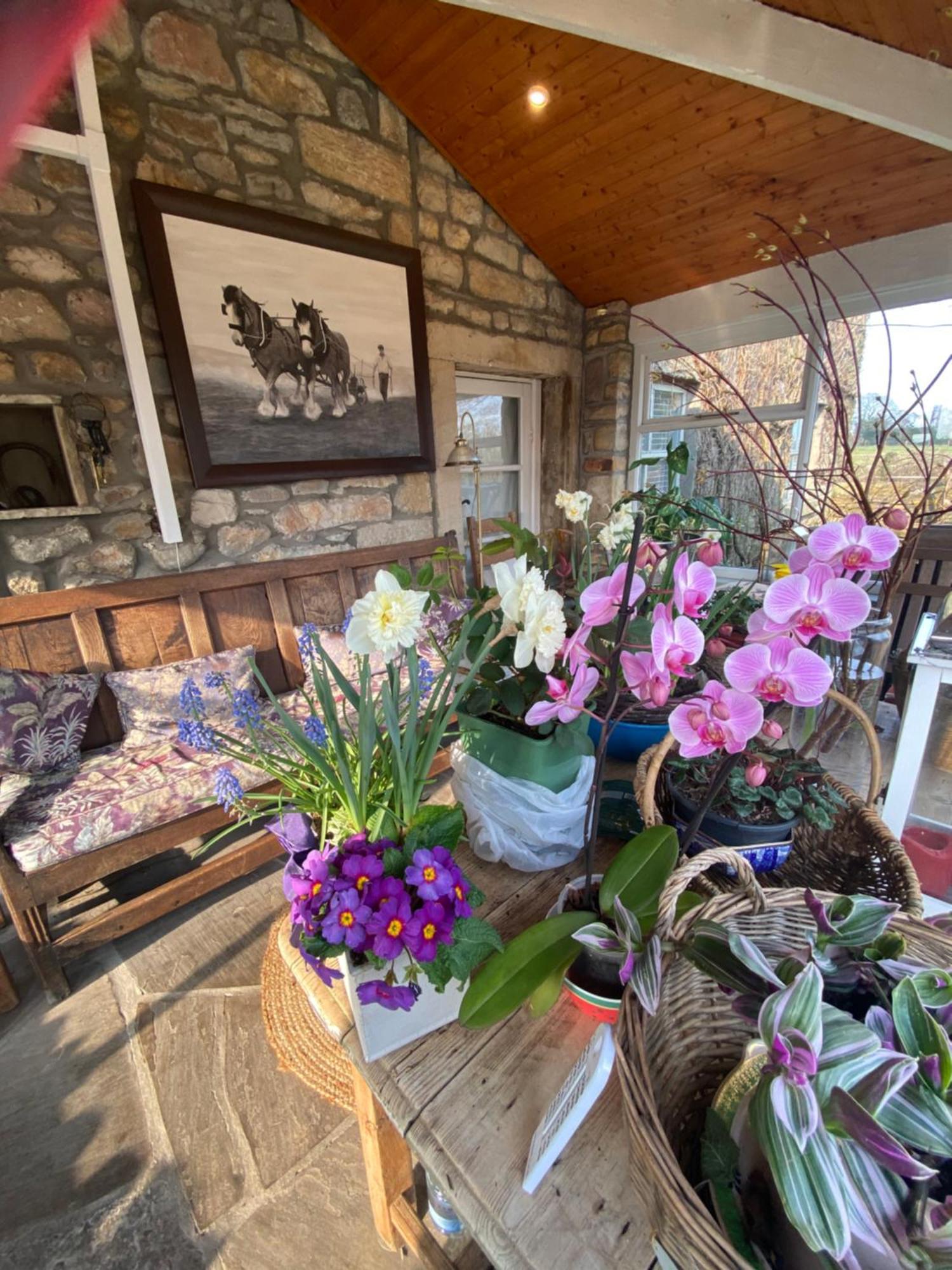 Chapel Cottage Clitheroe Road Waddington  Ngoại thất bức ảnh