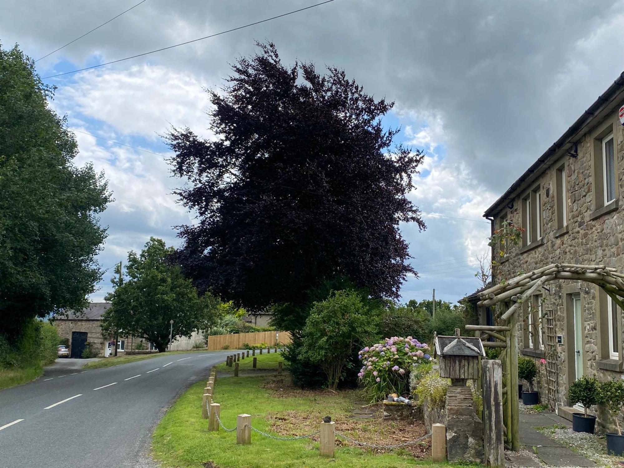 Chapel Cottage Clitheroe Road Waddington  Ngoại thất bức ảnh